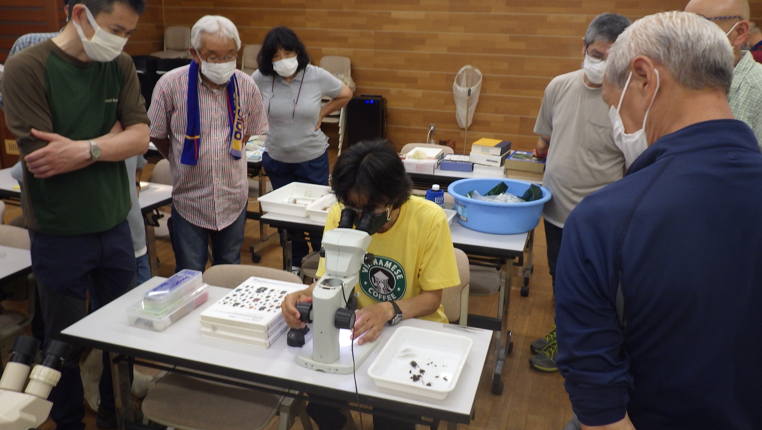 ボランティア研修会「樹液や倒木に集まる甲虫」