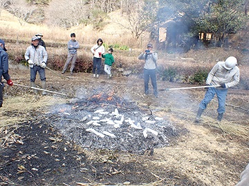 落ち葉掻きと焼き芋とソヨゴ爆竹をしよう