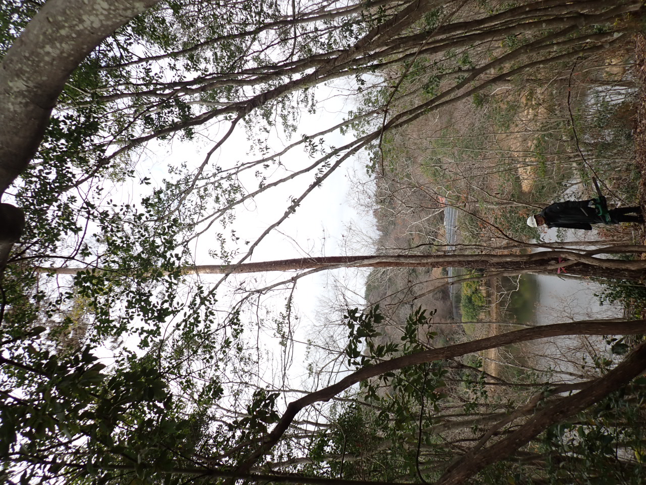 整備中の新しい広場で作業を行いました！