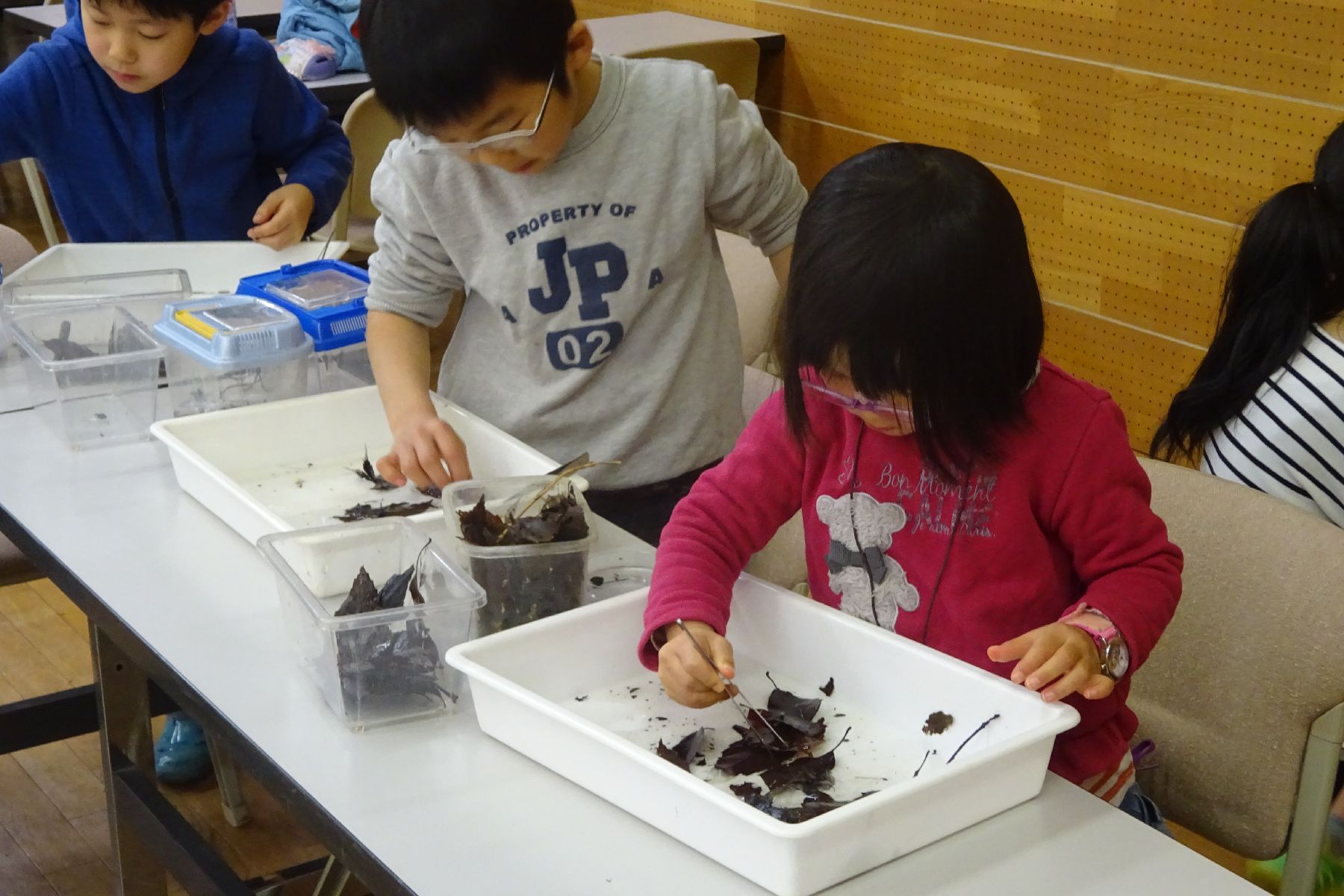 お前はだれだ!?水中のミノムシ?「トビケラ観察会」