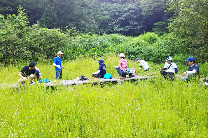 湿原の草取り(令和元年度のふりかえり)