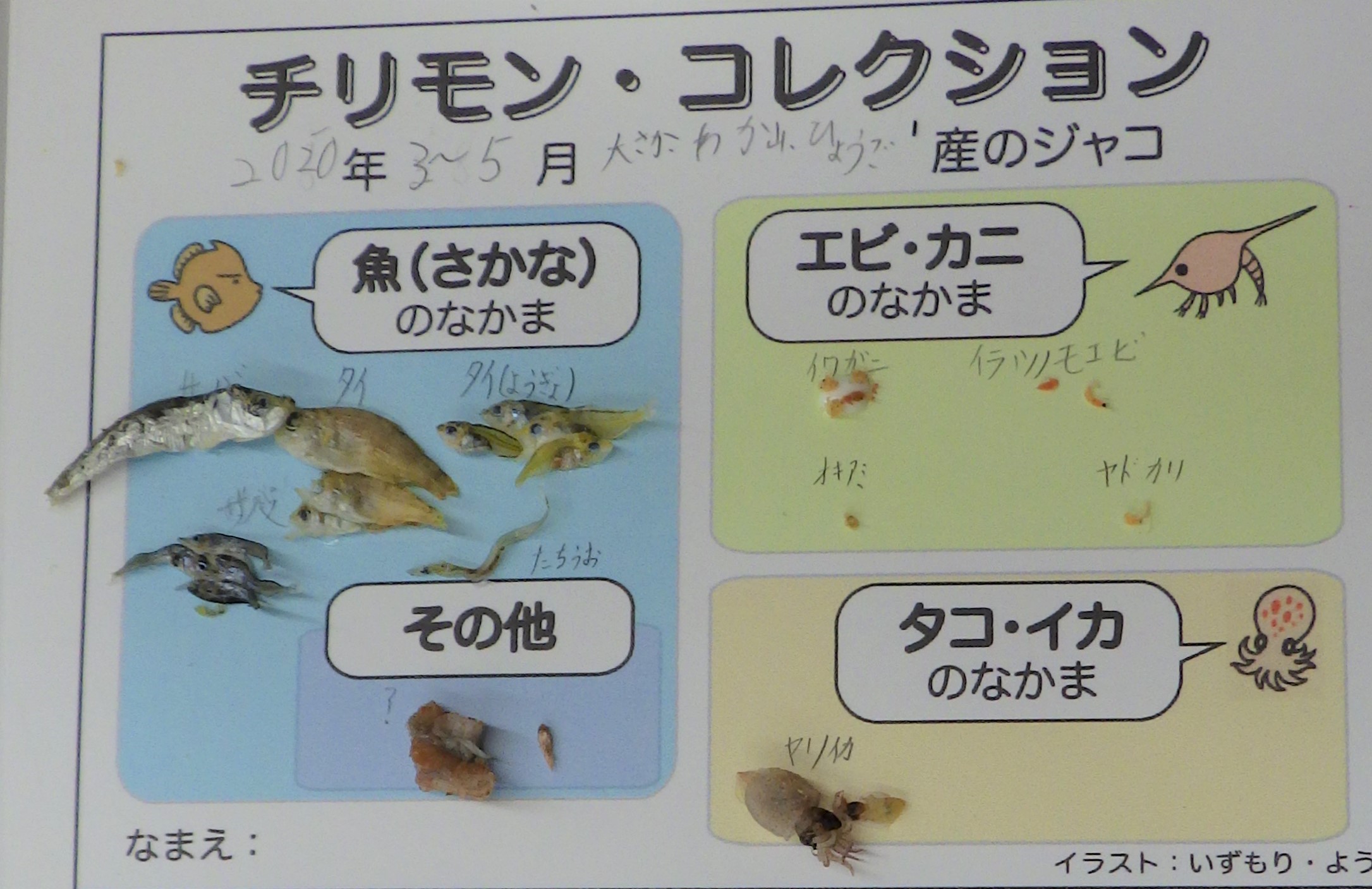 チリメンモンスターを探せ!