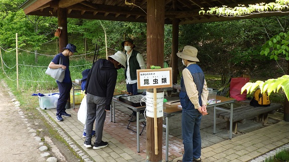 生きもの祭り