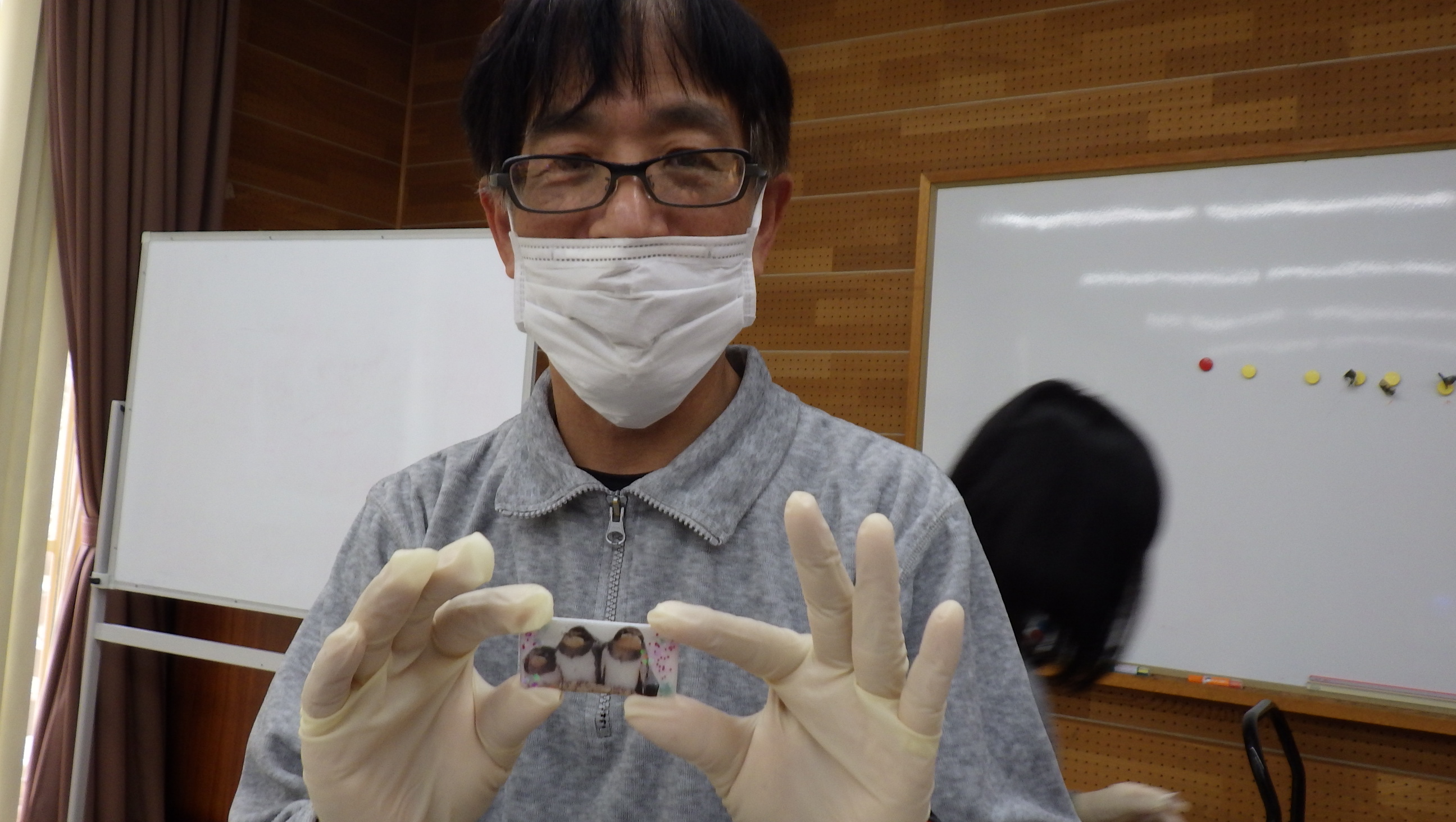 大人のための生きものブローチ