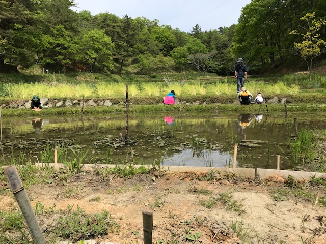 生きもの祭りだ、ワーイワーイ