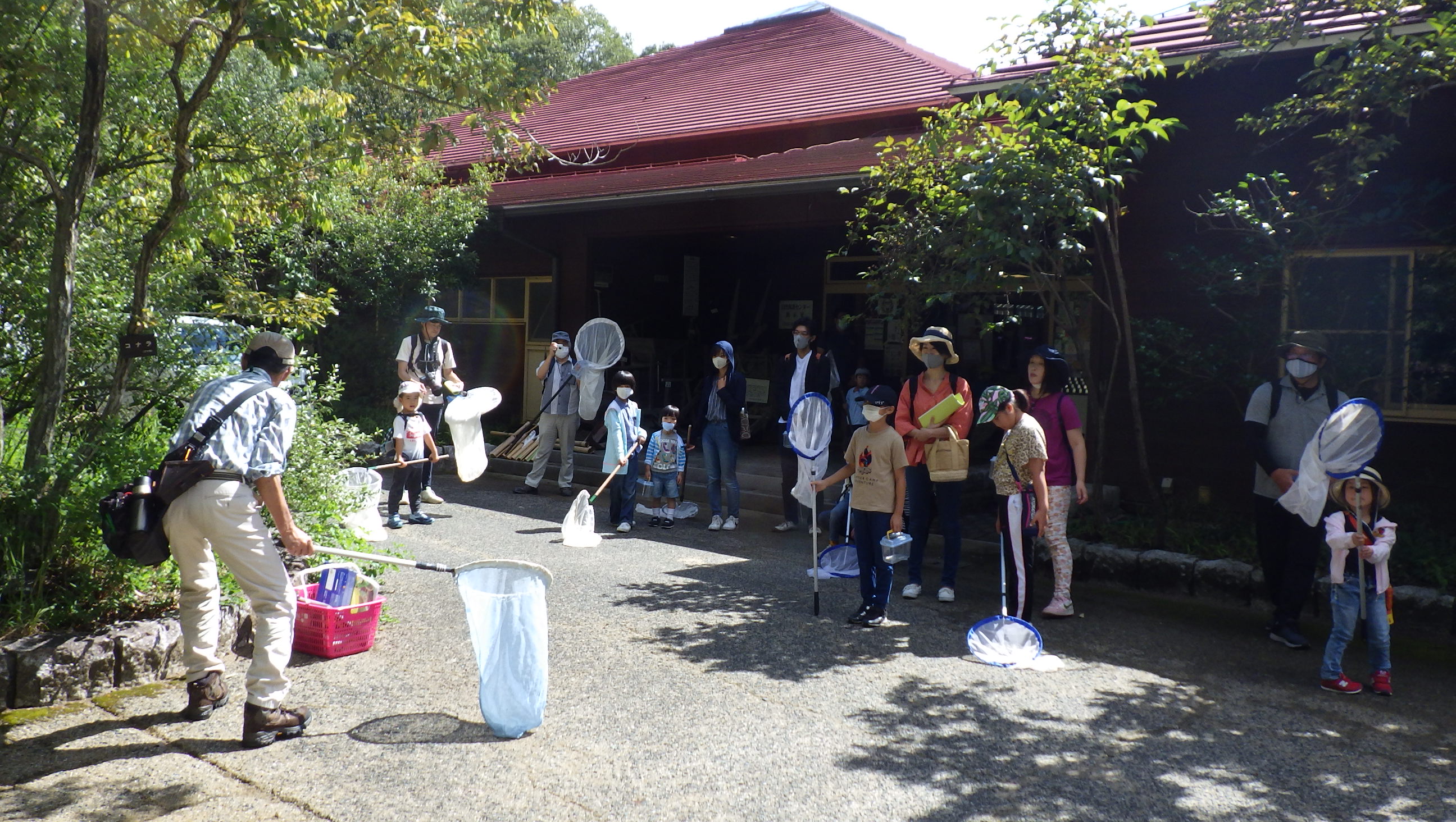 チョウ博士になろう！～秋を彩る蝶々を探せ！～