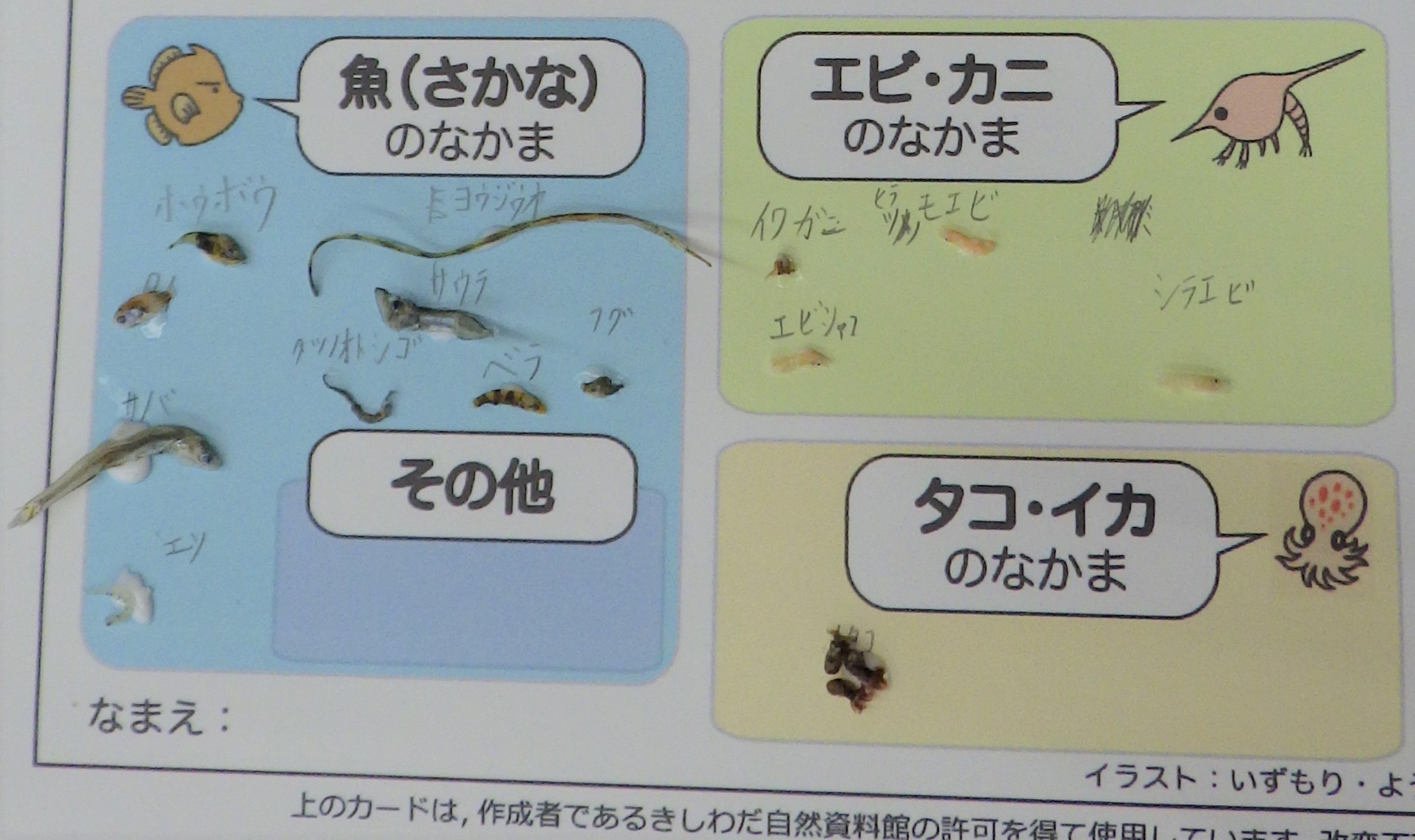 チリメンモンスターを探せ!