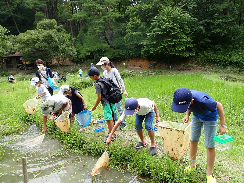水の中の生きもの探しまくり