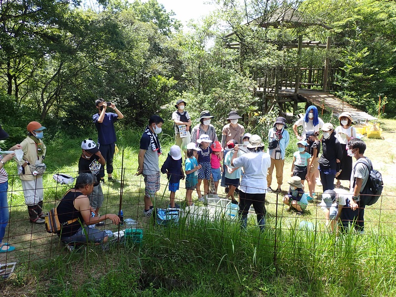 「水の中の生きもの探しまくり」やりました