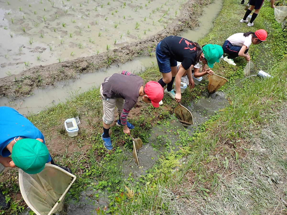 新しい日常の田植え