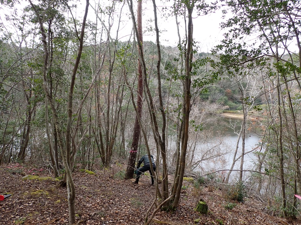 整備中の新しい広場で作業を行いました！