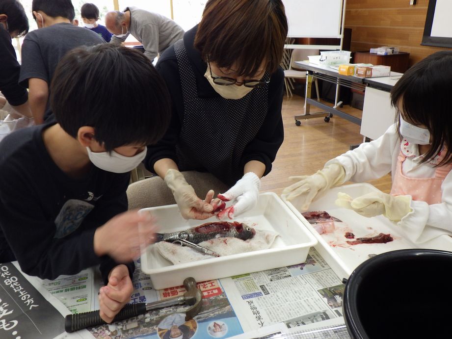 「おさかなの体しらべ」実施しました。