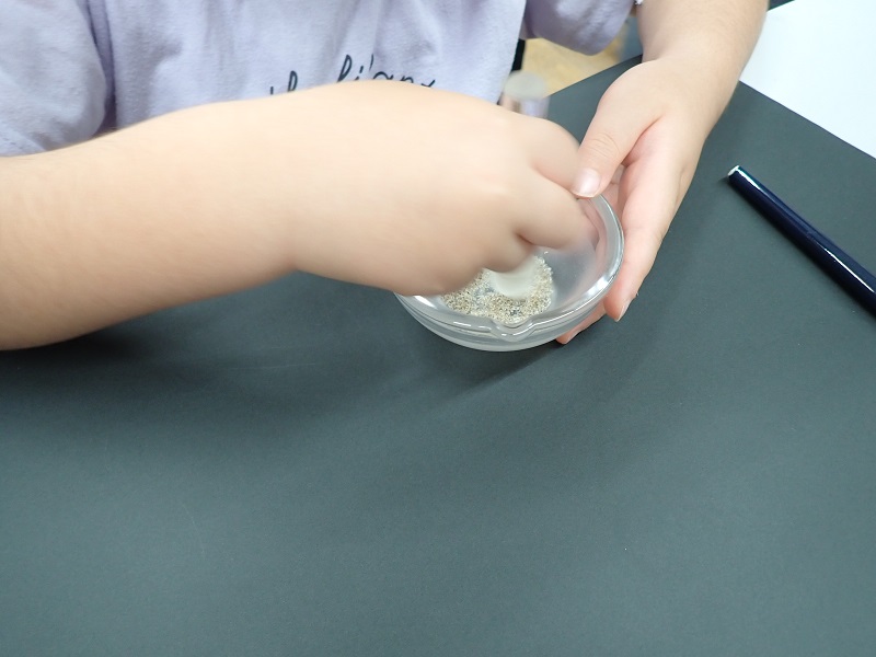 「光る生きもののしくみ 海ほたるを見よう」をやりました。