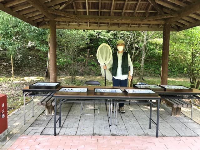 生きもの祭りだ、ワーイワーイ