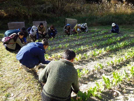 「雑穀ってこんなにもおいしいんだ!」イベントやりました