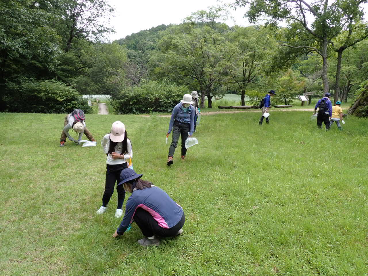 植物の名前の調べ方～植物と友達になる方法～