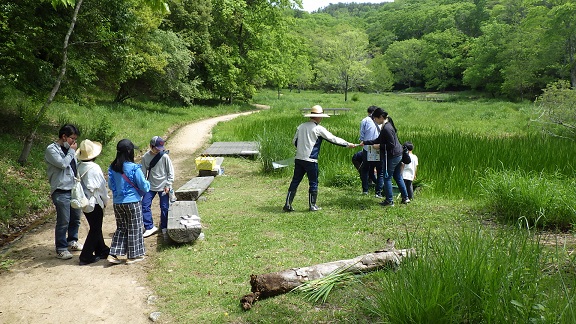生きもの祭り