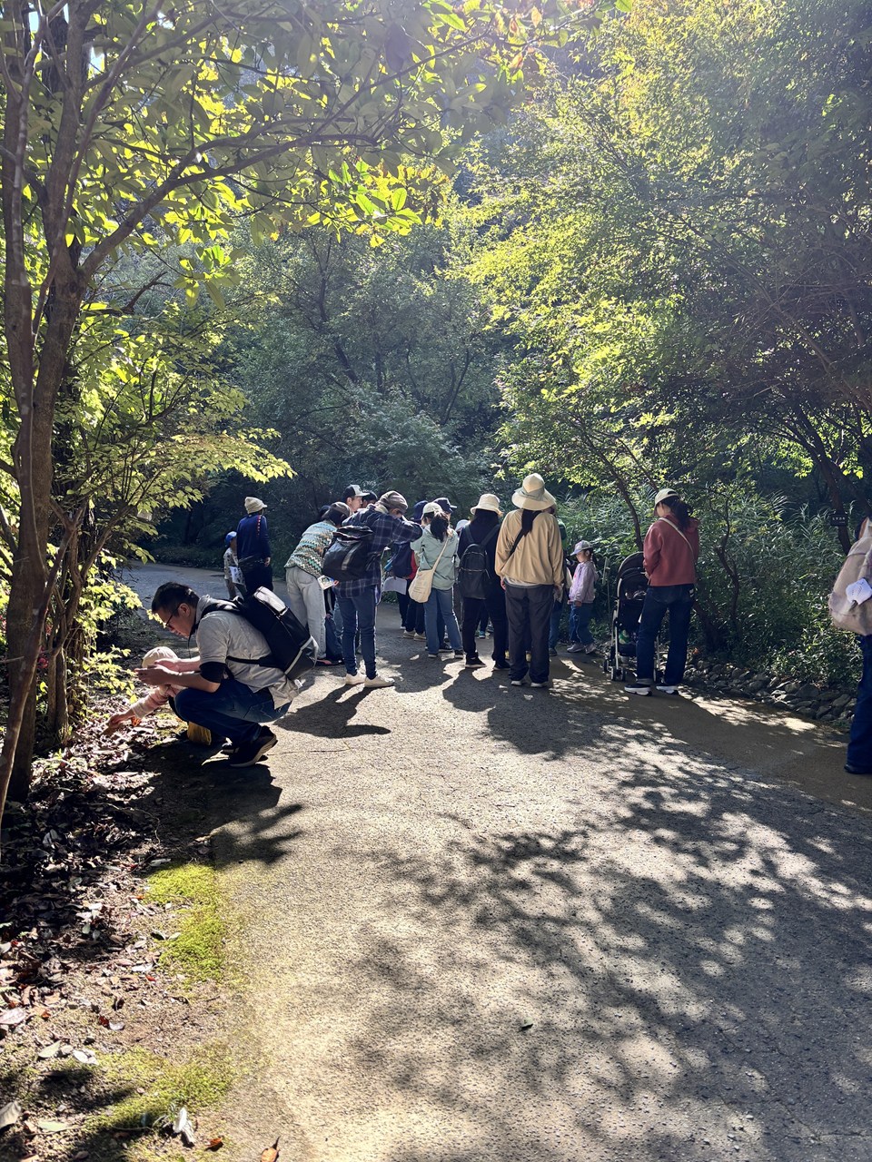 観察イベント「どんぐりと果実」実施しました！