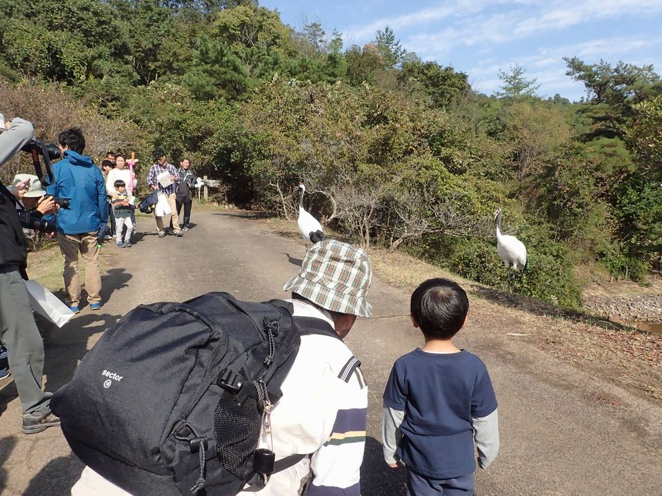 第20回佐伯タンチョウフェスタ