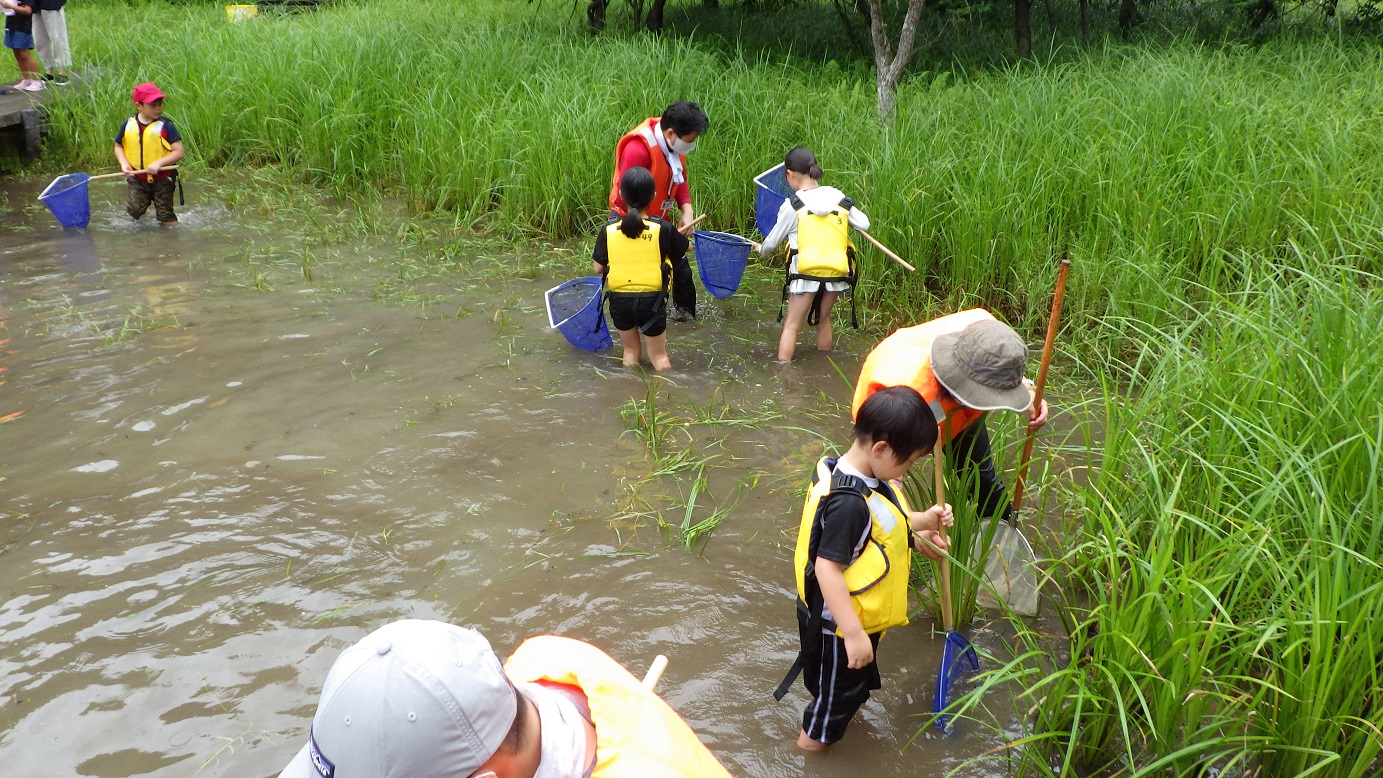 田尻大池で魚採り