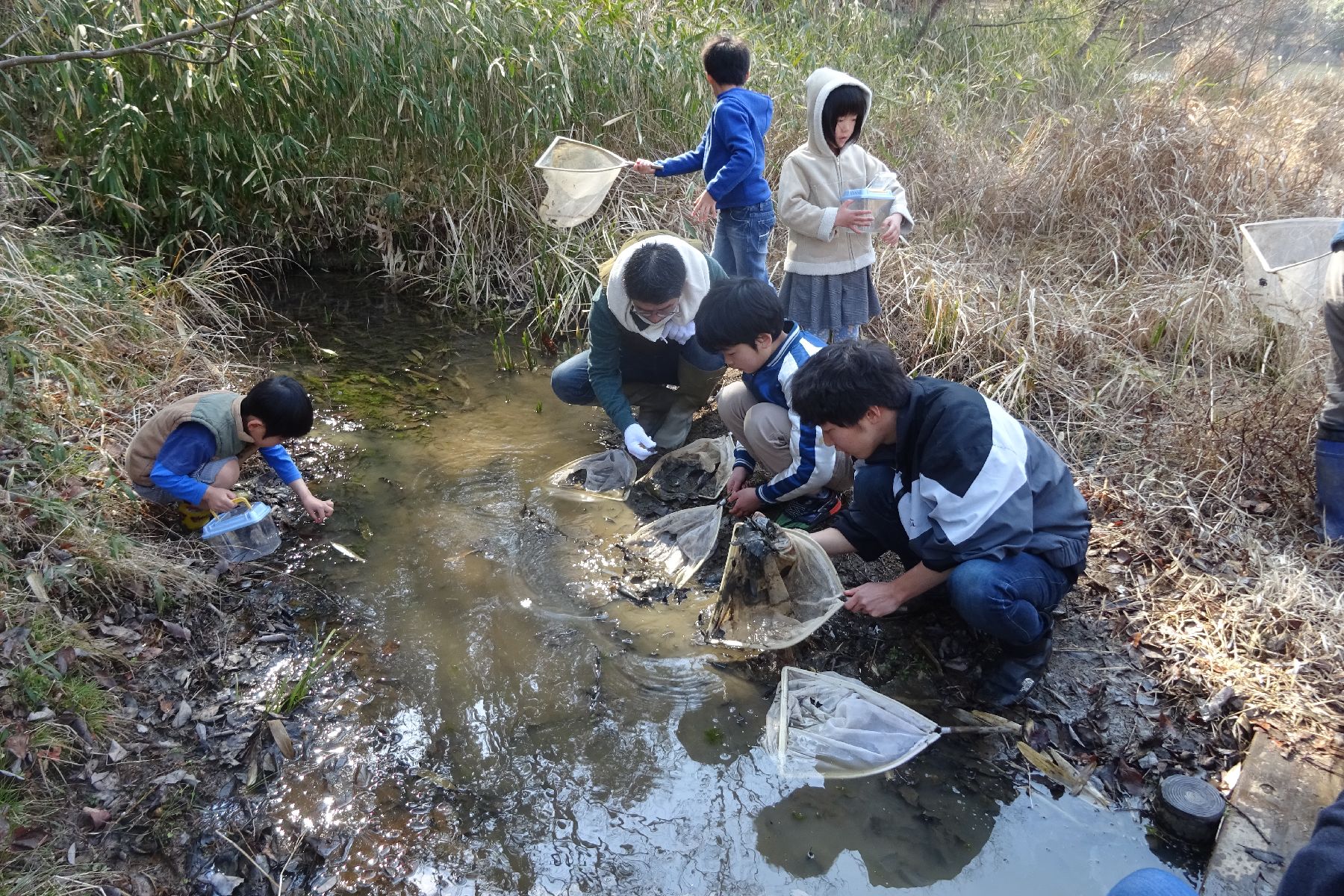 お前はだれだ!?水中のミノムシ?「トビケラ観察会」
