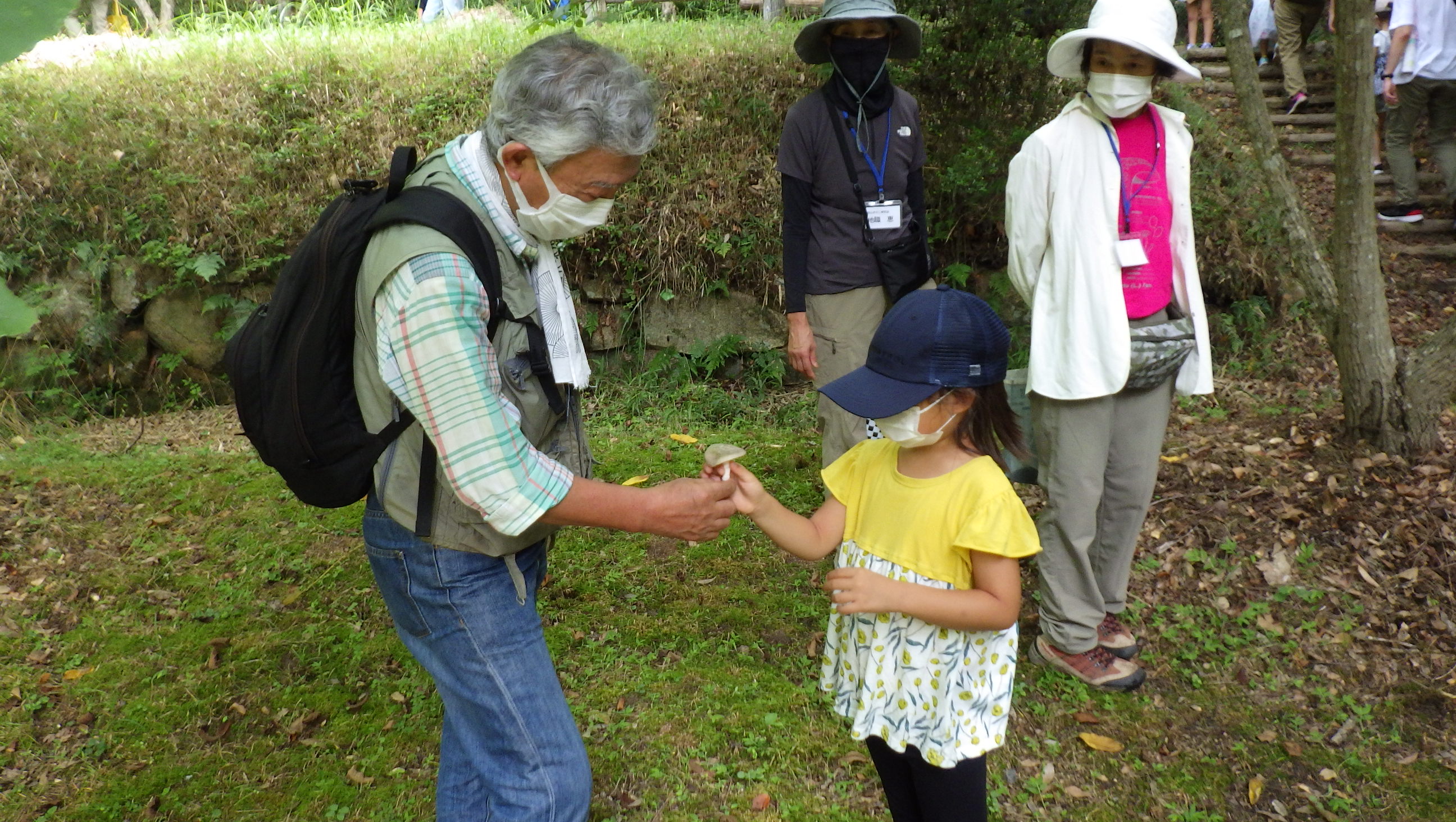 岡山きのこ研究会１０周年企画「きのこ観察会」と「基調講演」　キノコ展も開催中！