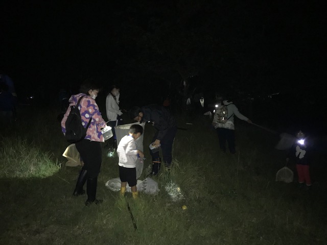 秋の鳴き虫観察会やりました。