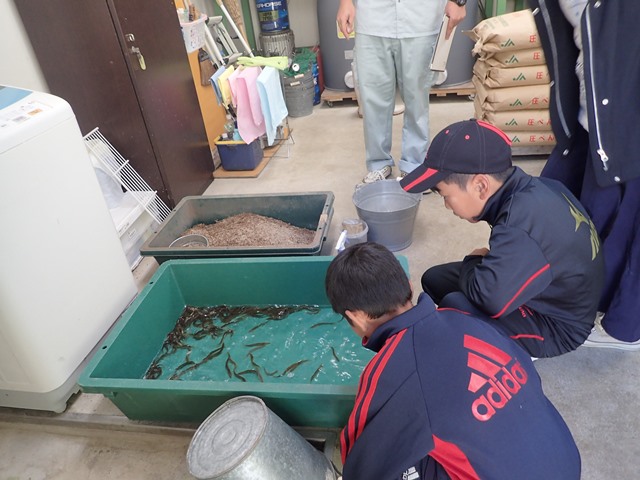 あなたの夢かなえちゃいます！タンチョウ飼育体験！