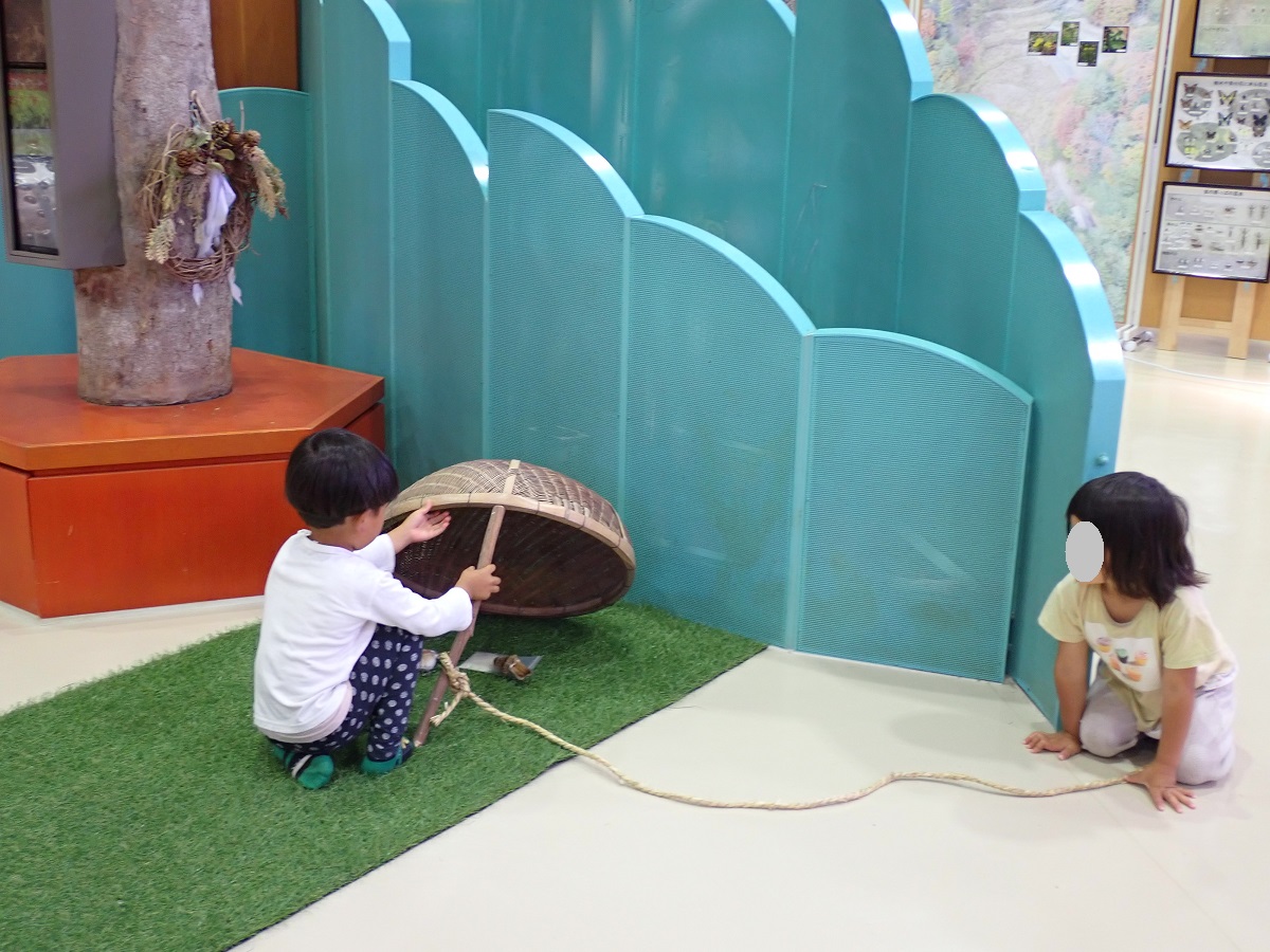企画展　里山のサバイバル