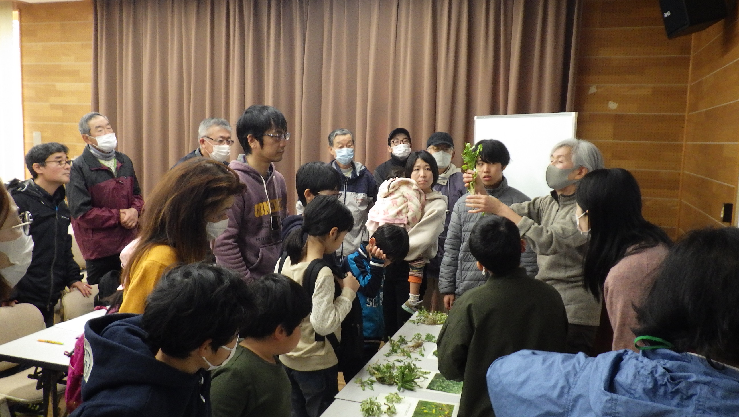 春の七草観察会