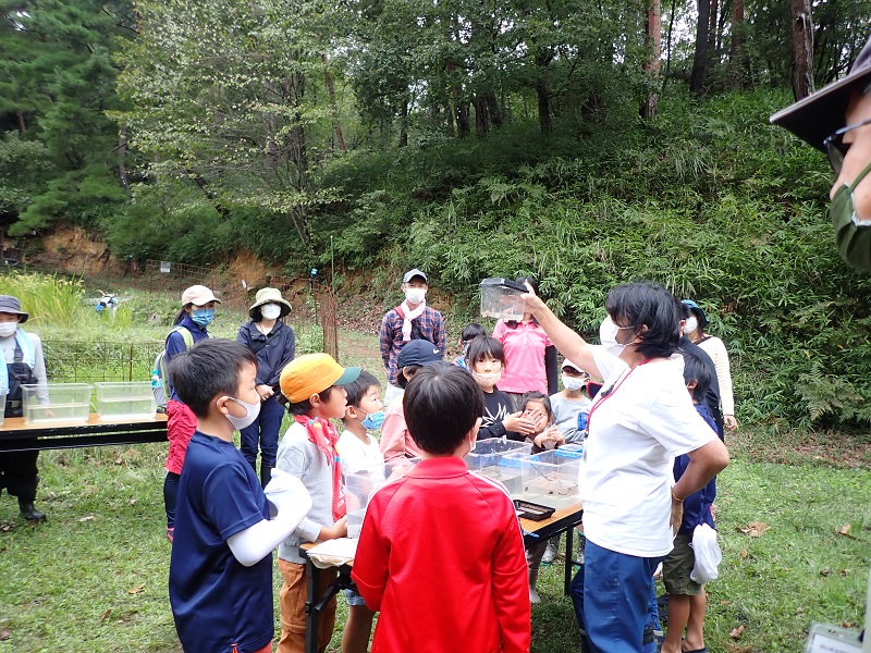 三連休 虫むしムシイベントやりきりました