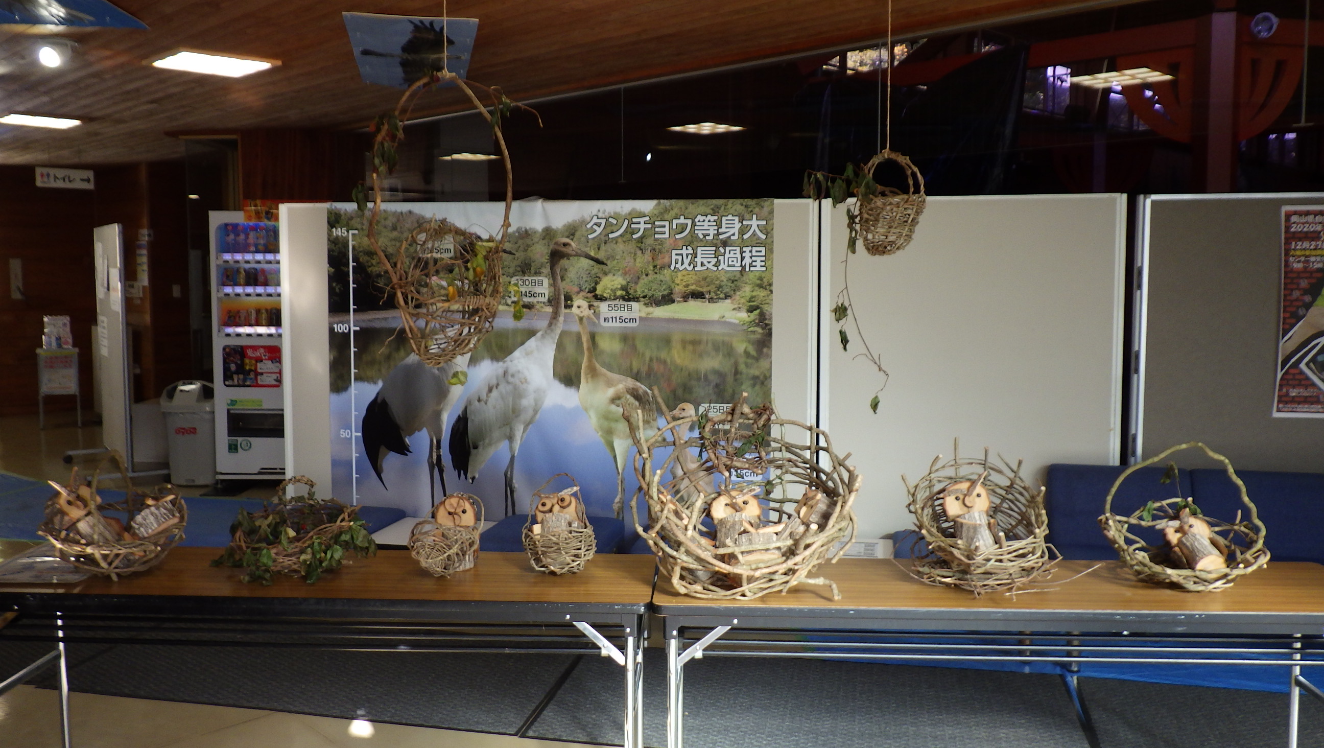 フジカゴ作りとカワイイ展示をはんみょうクラブさんより