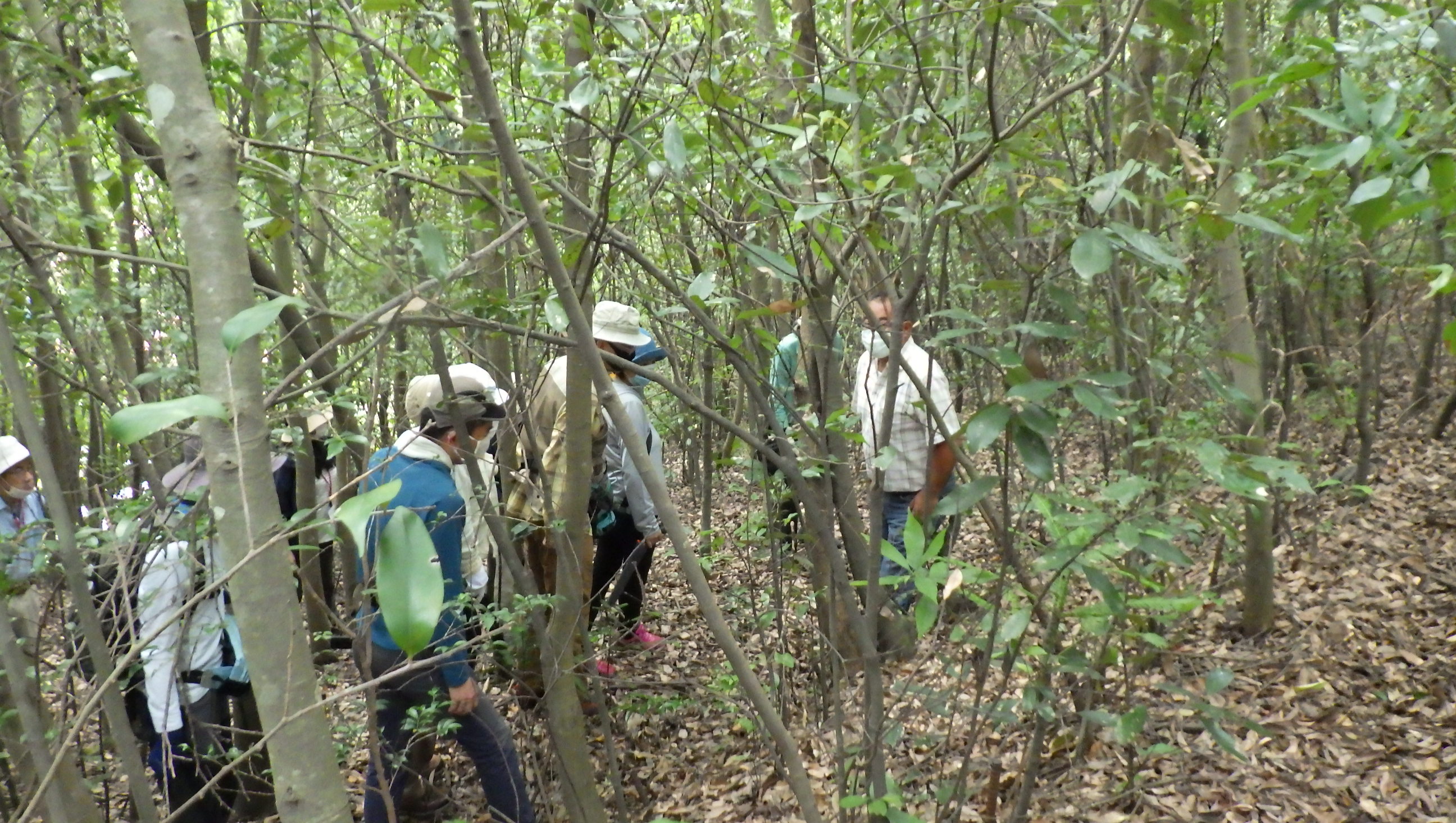 身近な自然・里山とどうやって付き合うか？
