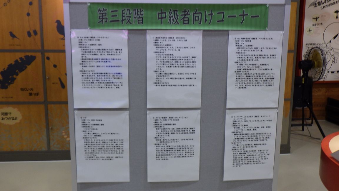 新企画展始まりました！