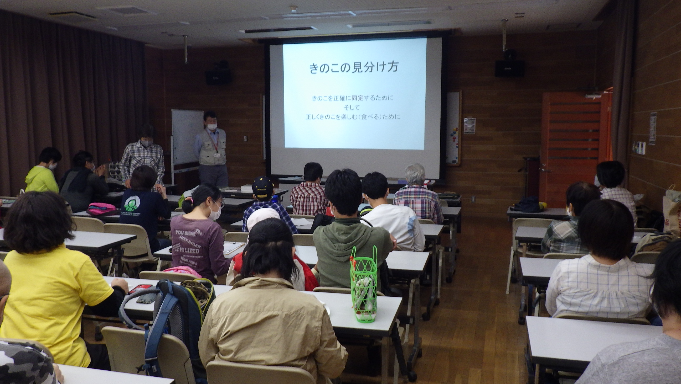 きのこの見分け方