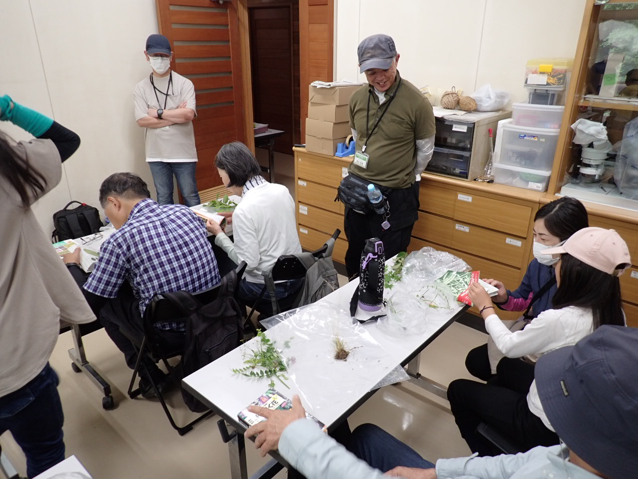 植物の名前の調べ方～植物と友達になる方法～