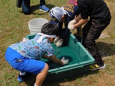 「生きものと一緒に大運動会」って何?