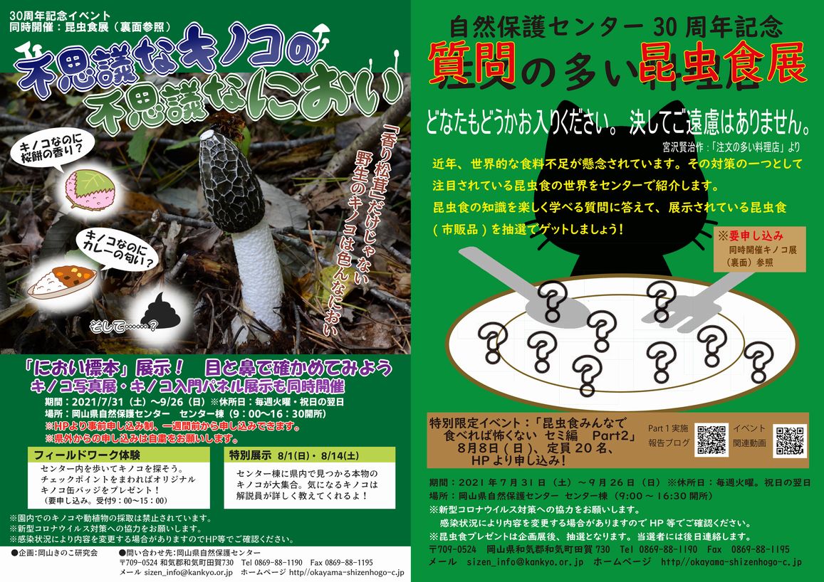 新企画展始まりました！