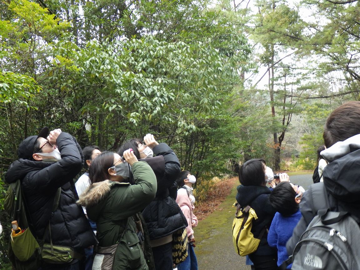 レンズで見よう生きものたち！