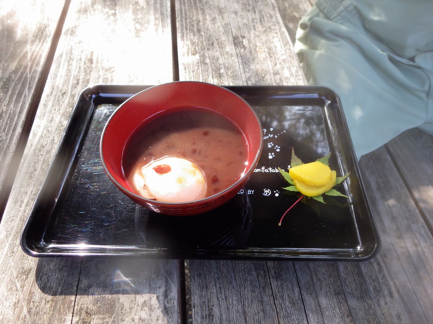 第20回佐伯タンチョウフェスタ