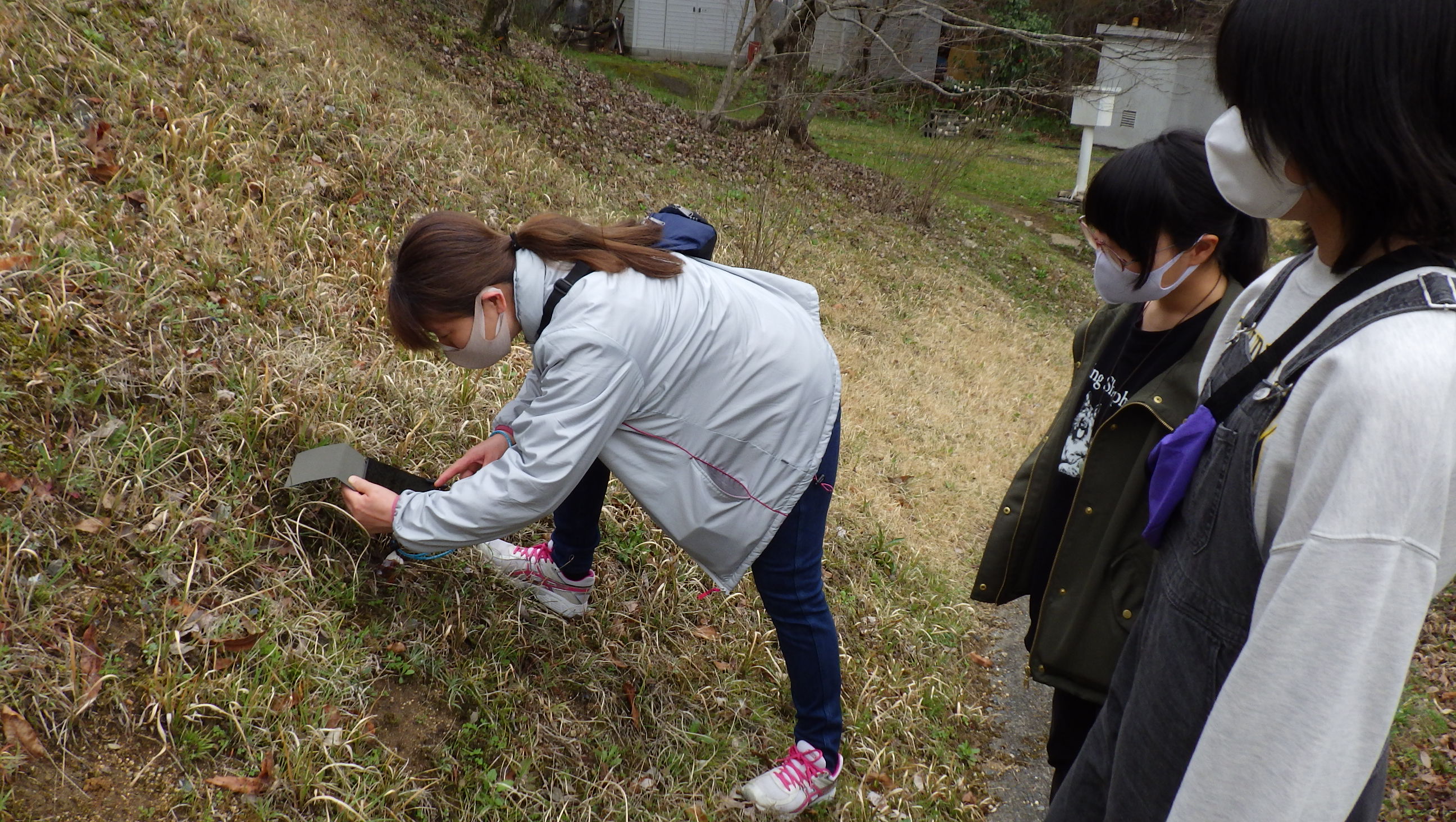 大人のための生きものブローチ