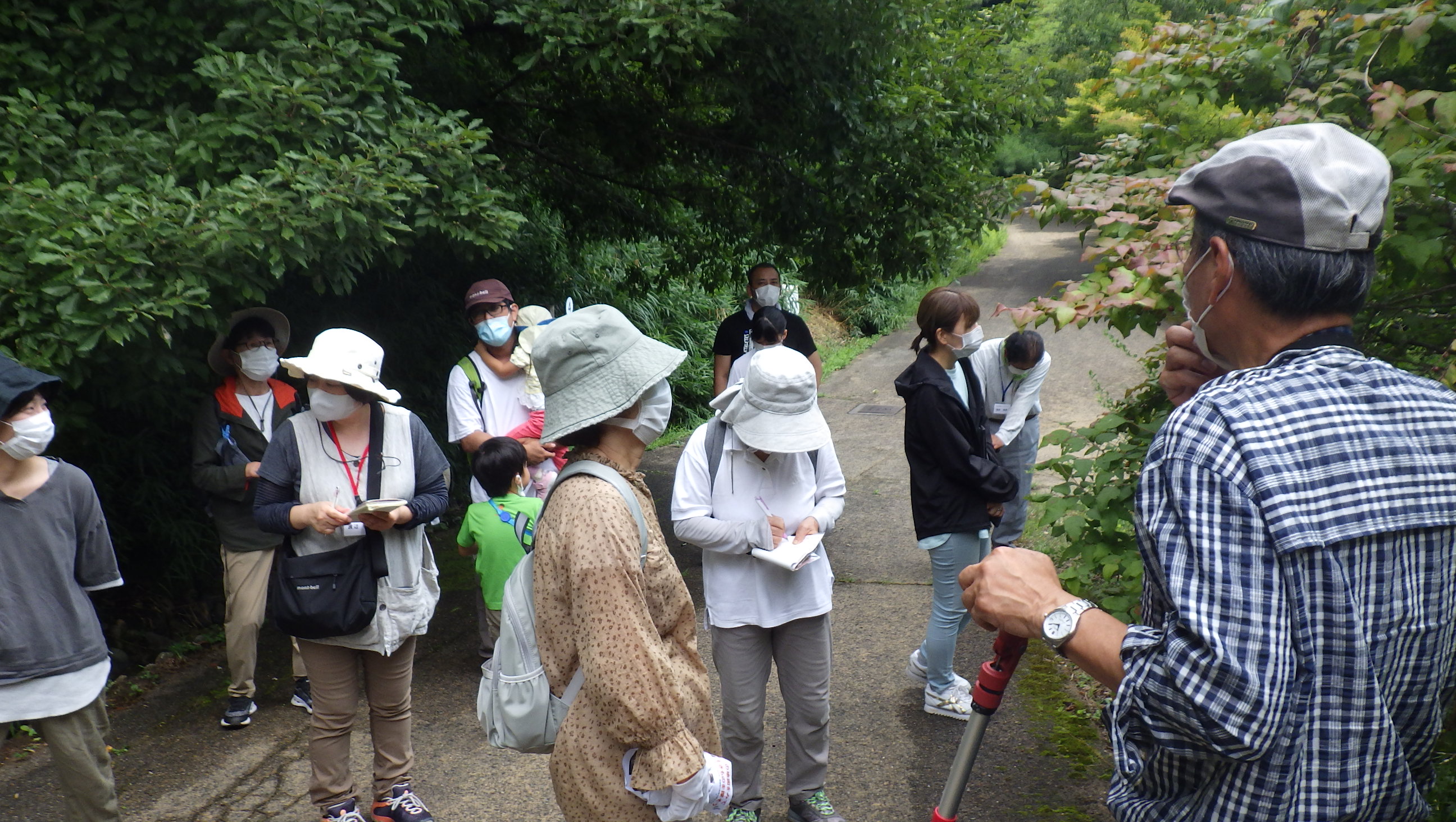 教授が教えるサギソウと湿原の草花