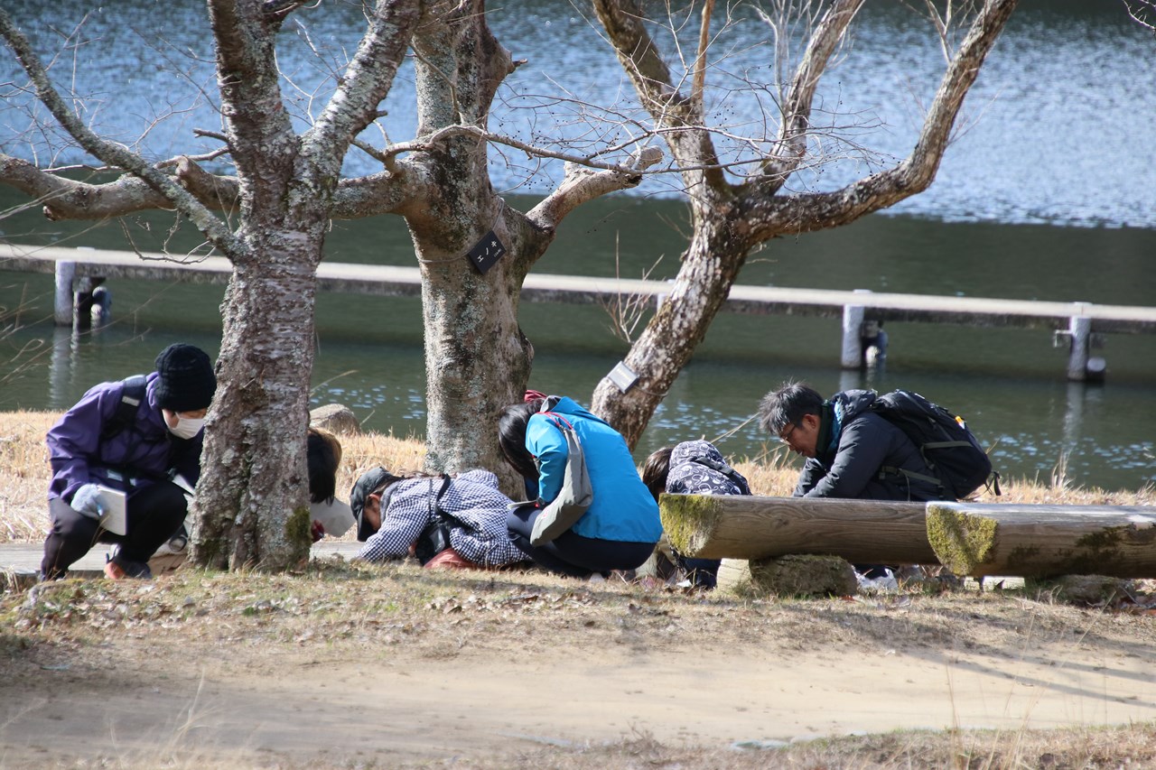 観察イベント「越冬昆虫大発見」