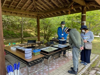 生きもの祭り