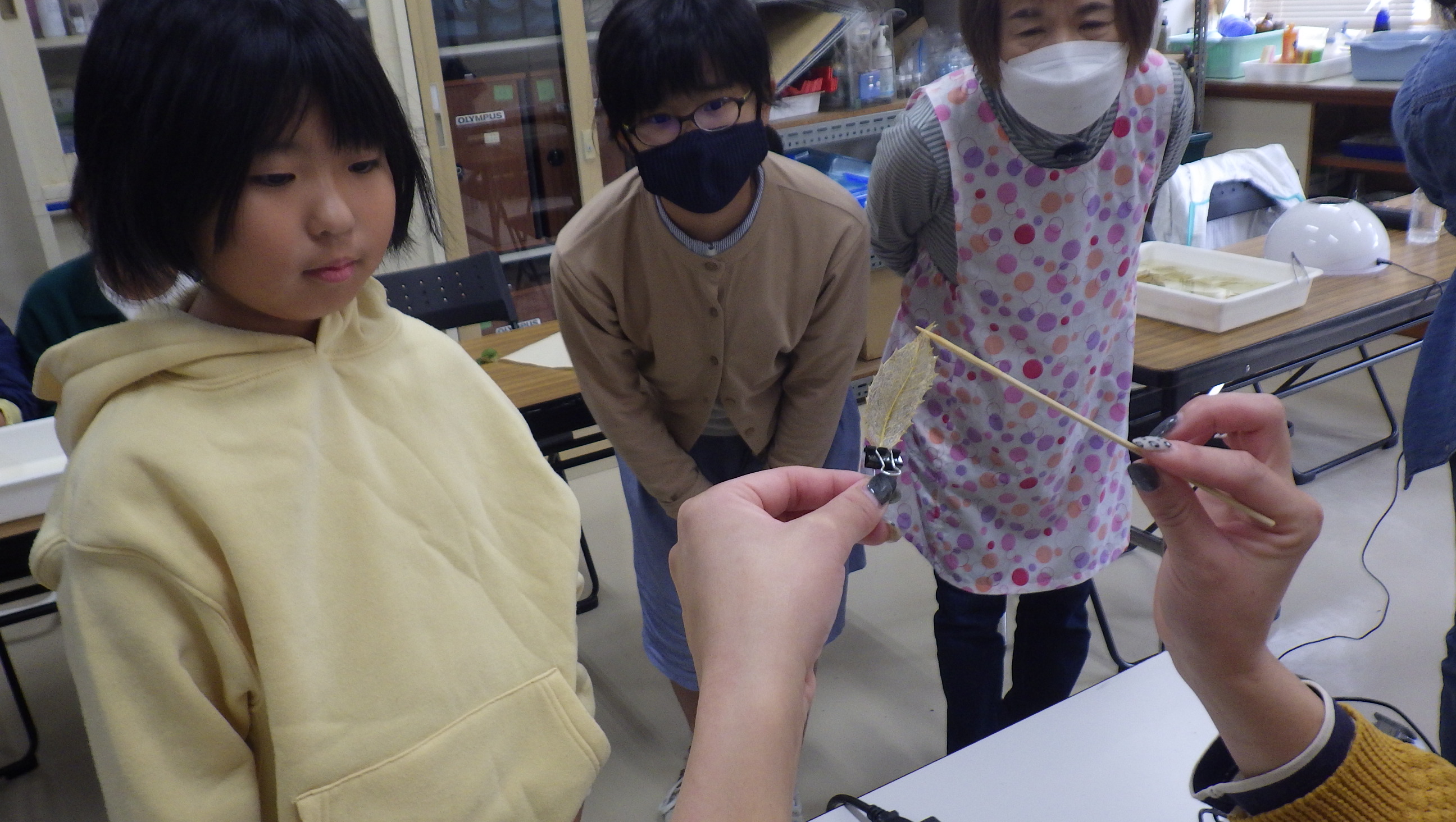 葉脈標本アクセサリーを作ろう！