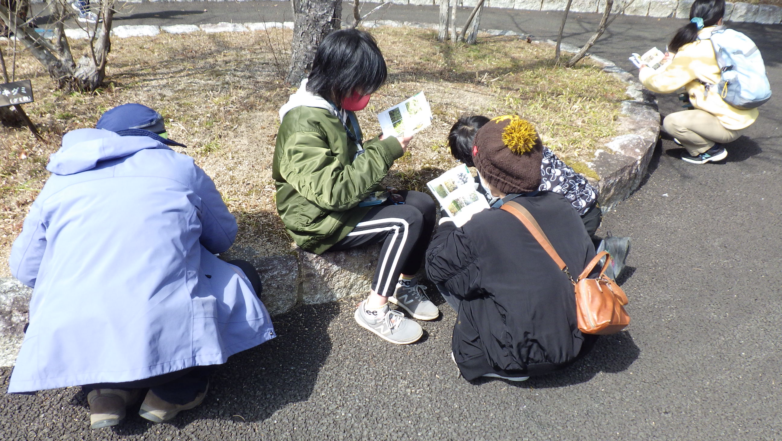 コケ入門講座