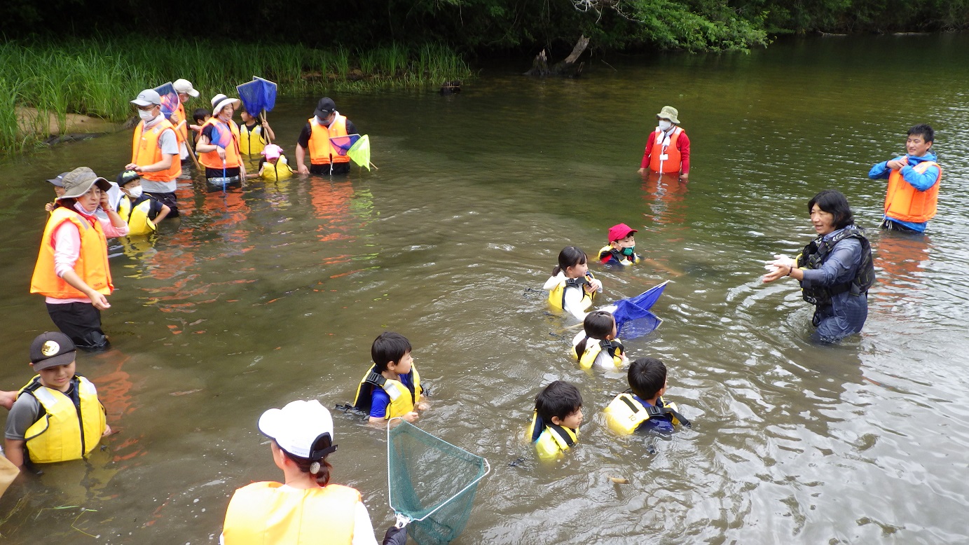 田尻大池で魚採り