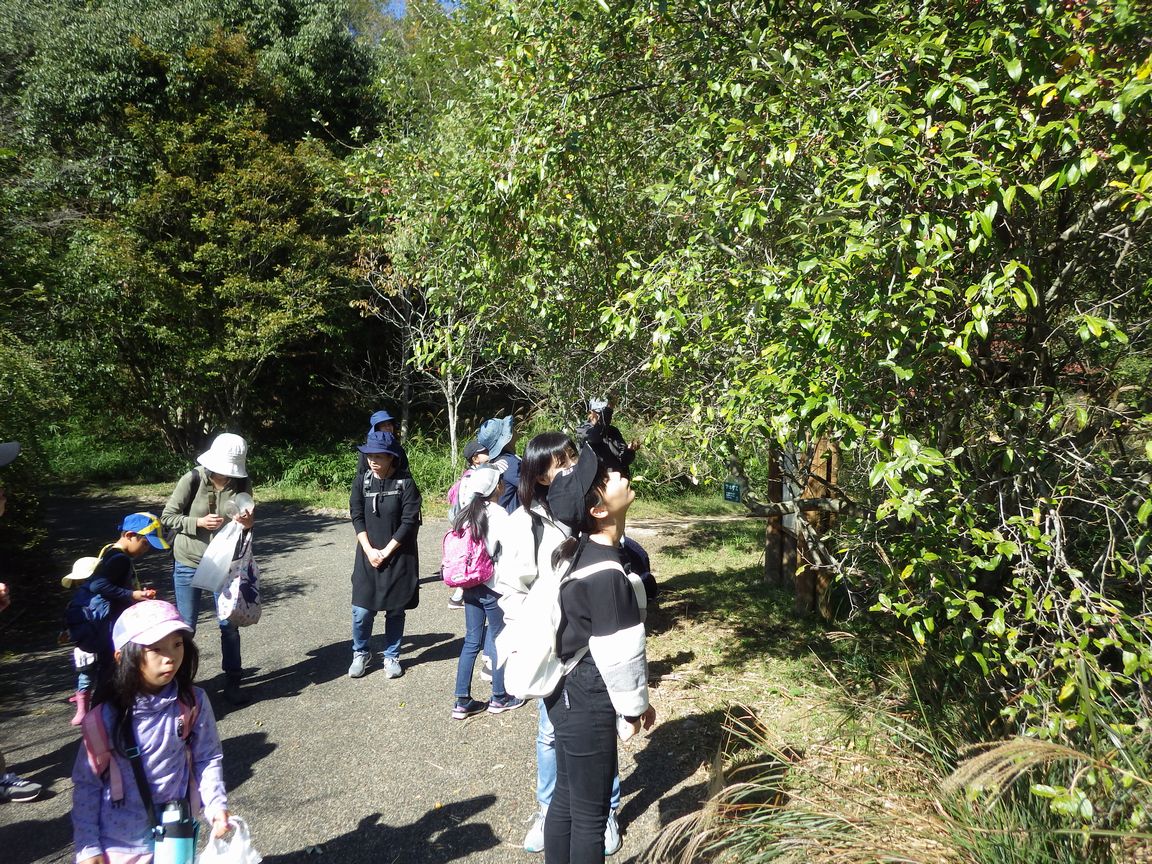 秋の自然観察会＆キリンビール岡山工場見学