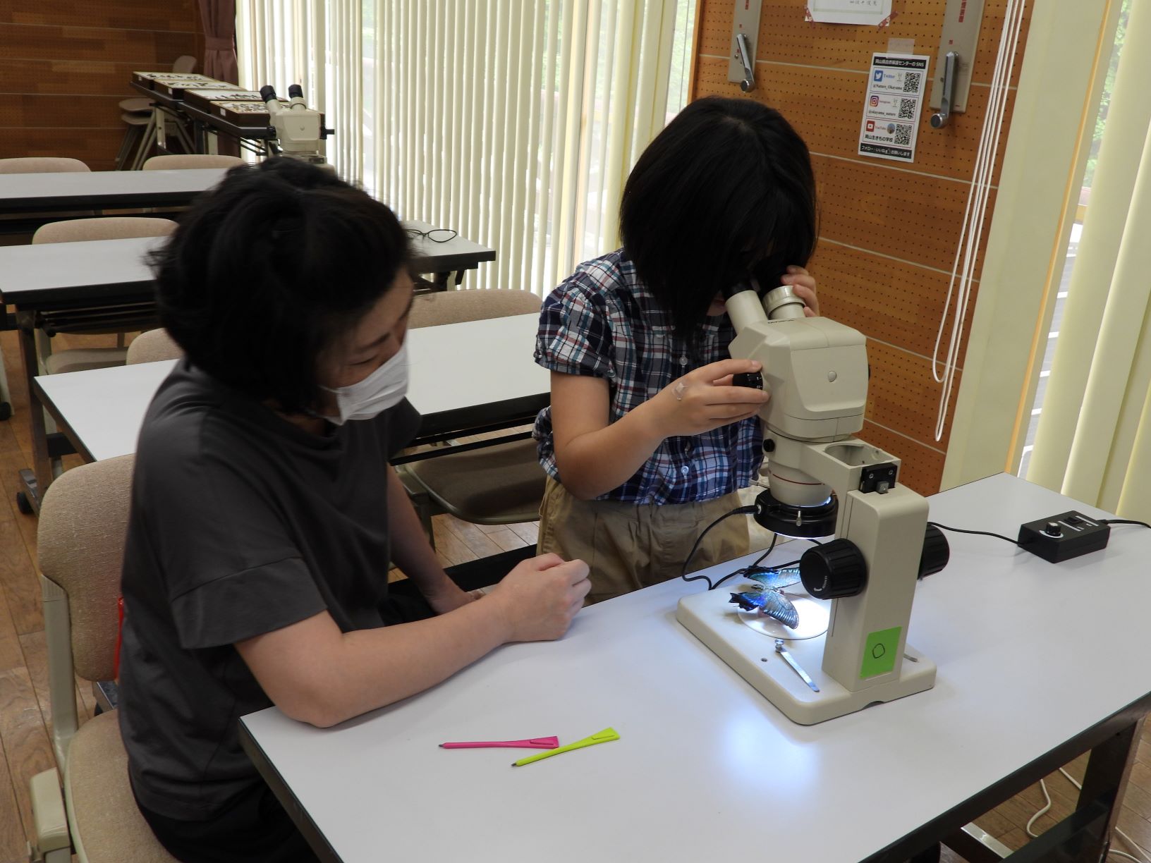 「レンズで見よう生きものたち！」実施しました
