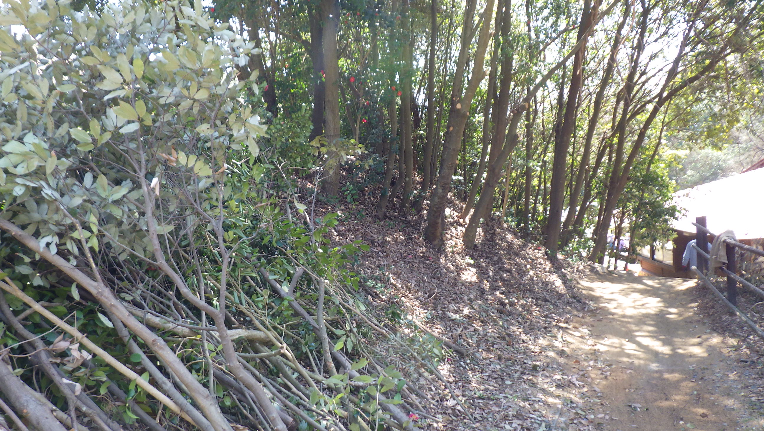 エントランス階段部分の整備その２～はんみょうクラブ～